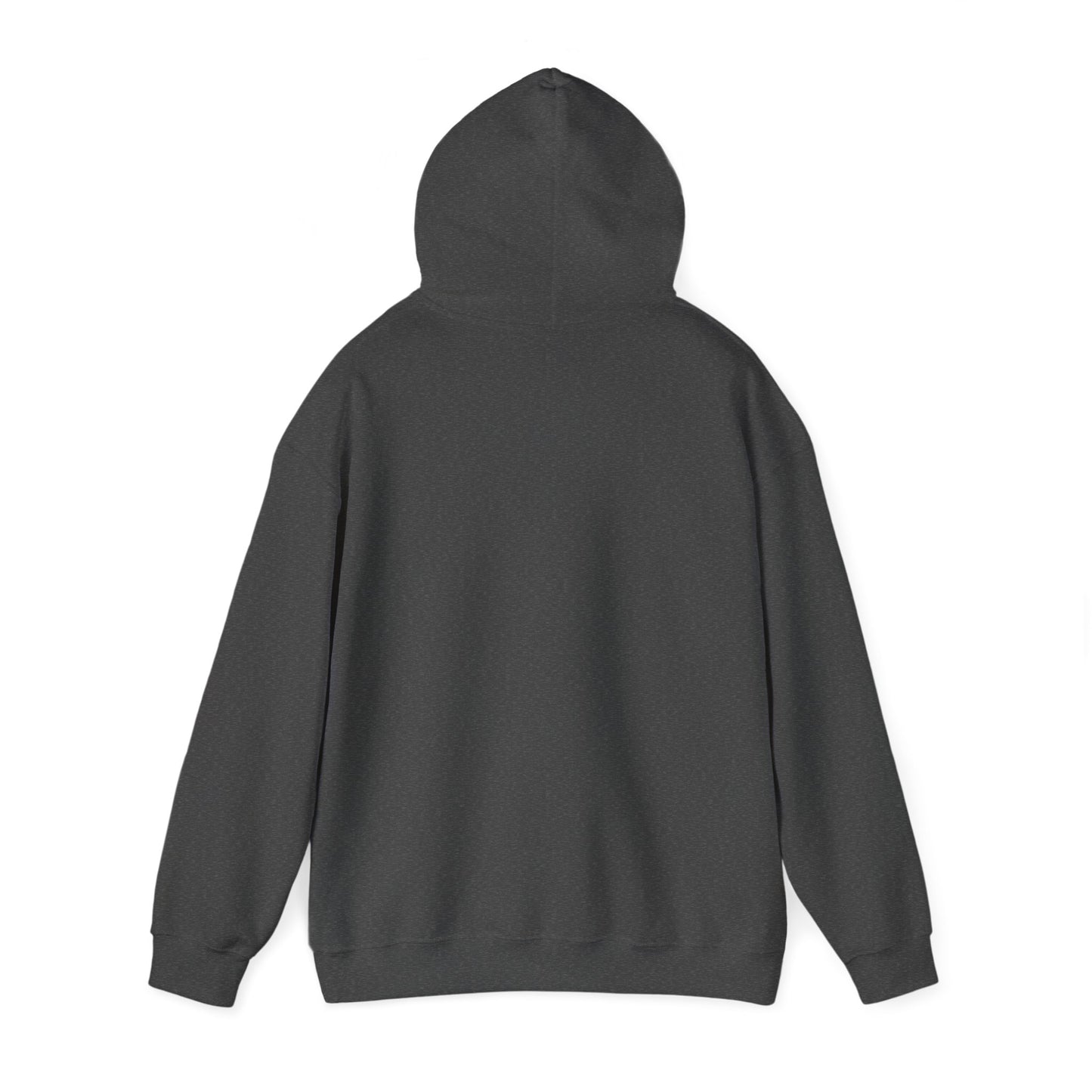 LOVE Every day – SheBelieves Co. Hoodies