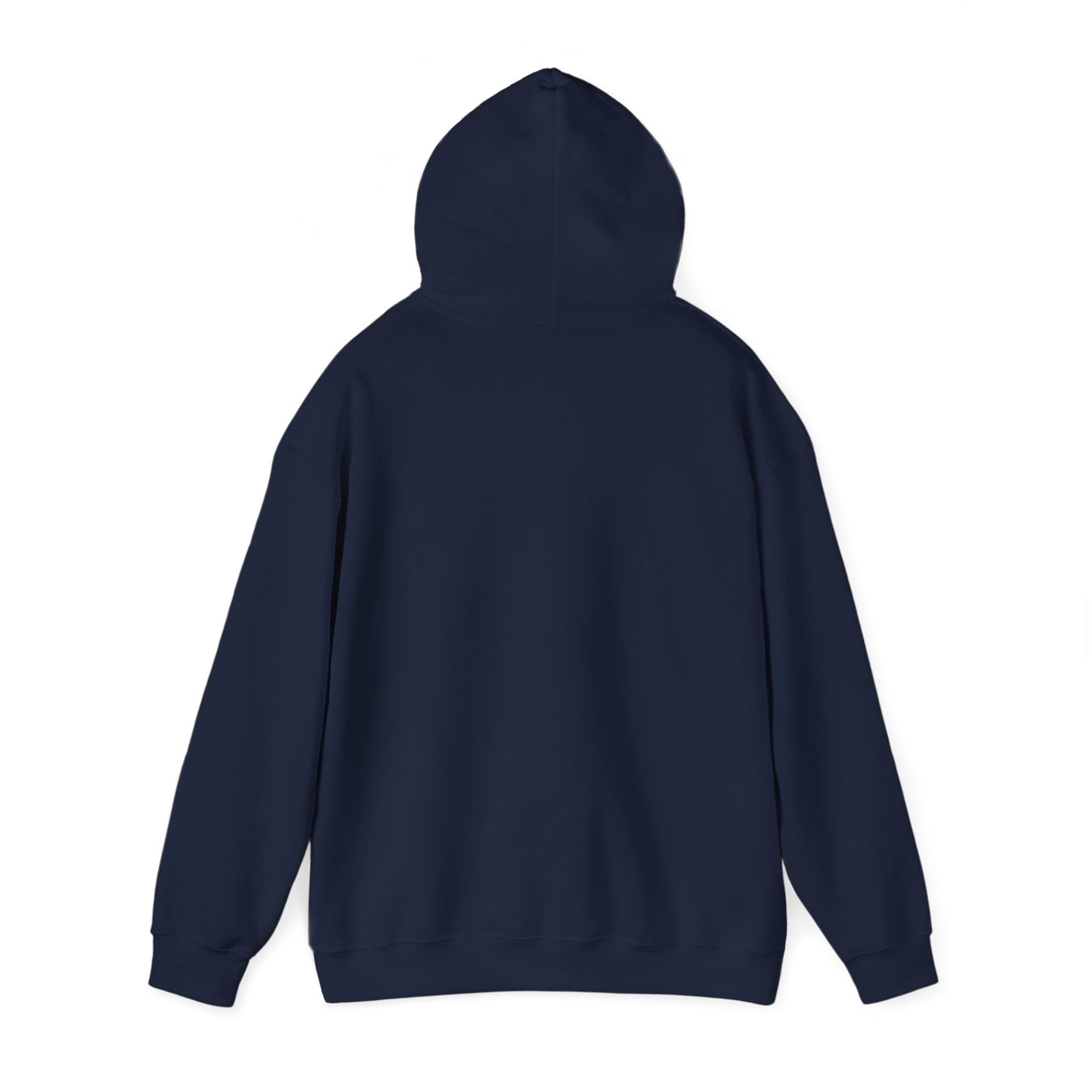 Fearless in Faith – SheBelieves Co. Hoodies