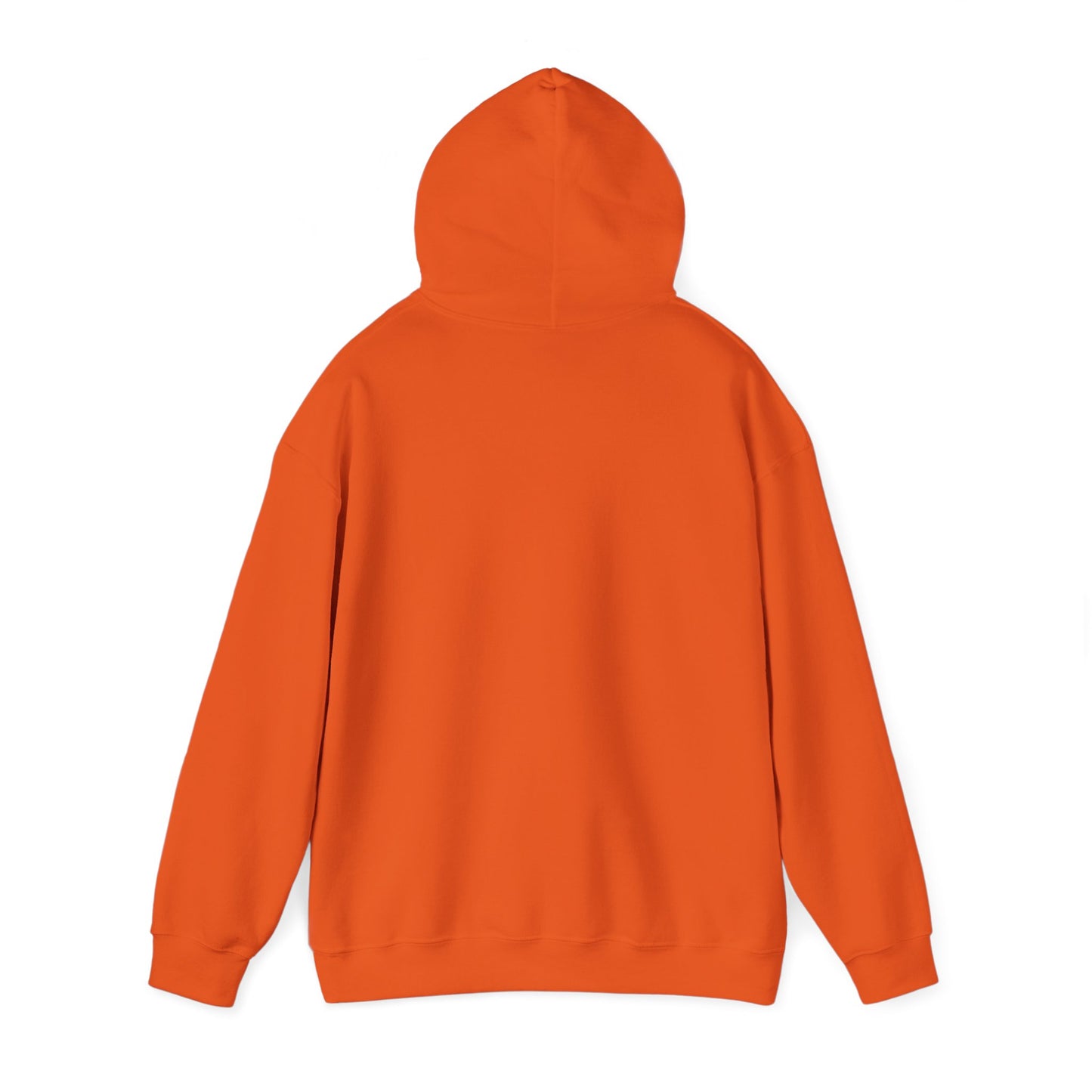Fearless In Faith – SheBelieves Co. Hoodies