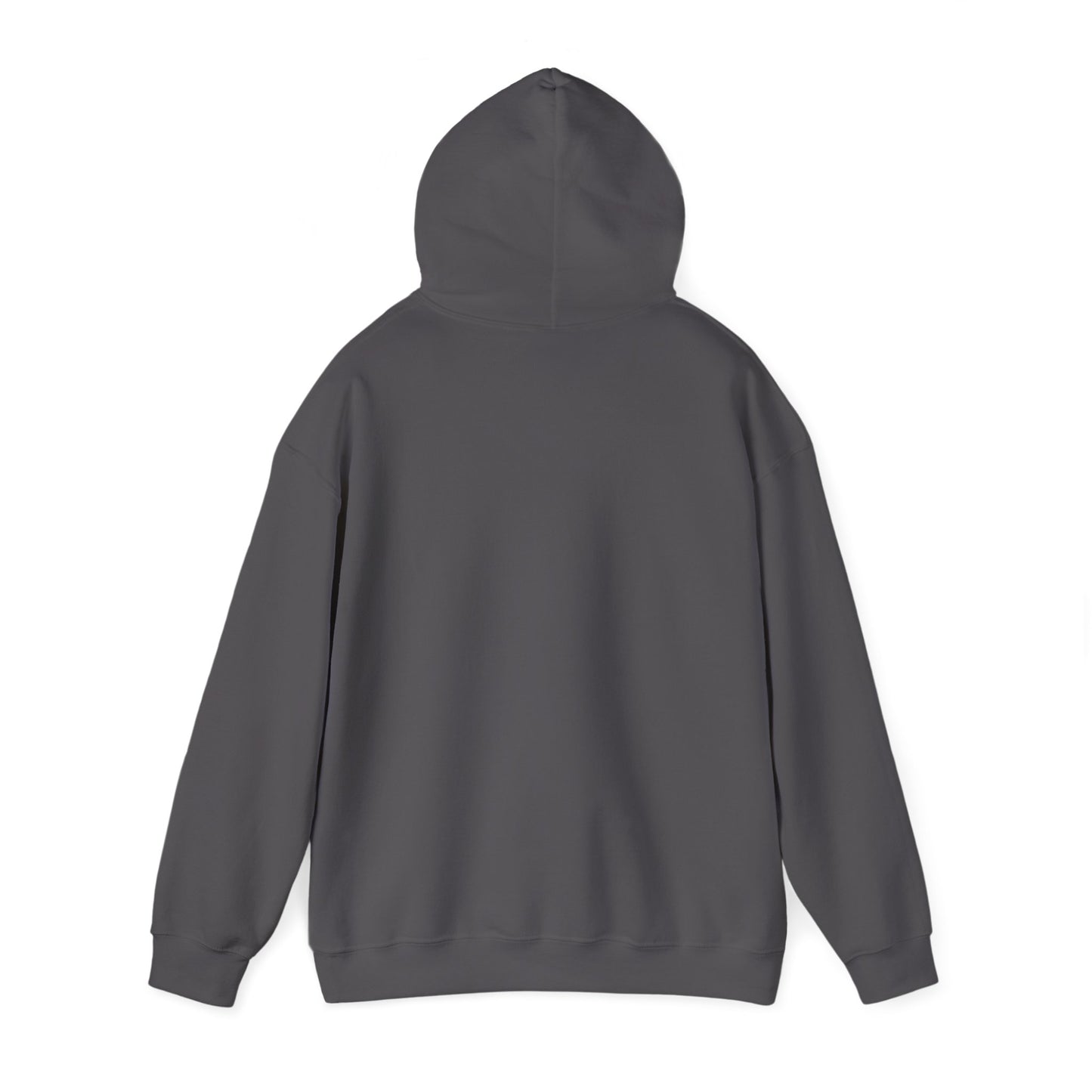 LOVE Every day – SheBelieves Co. Hoodies