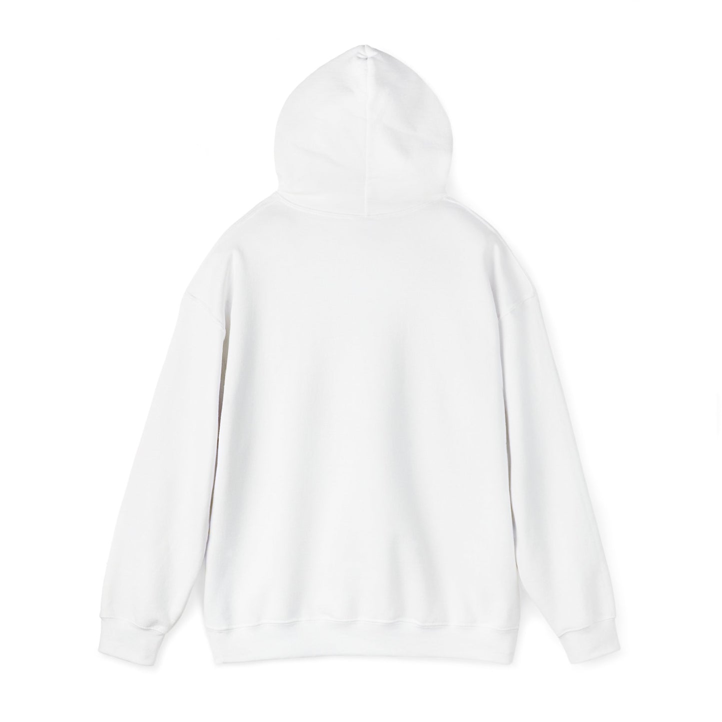 Walking by Faith Since Day One - Hoodie