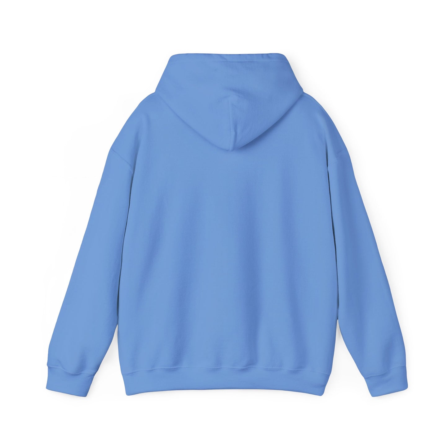 Walking by Faith Since Day One - Hoodie