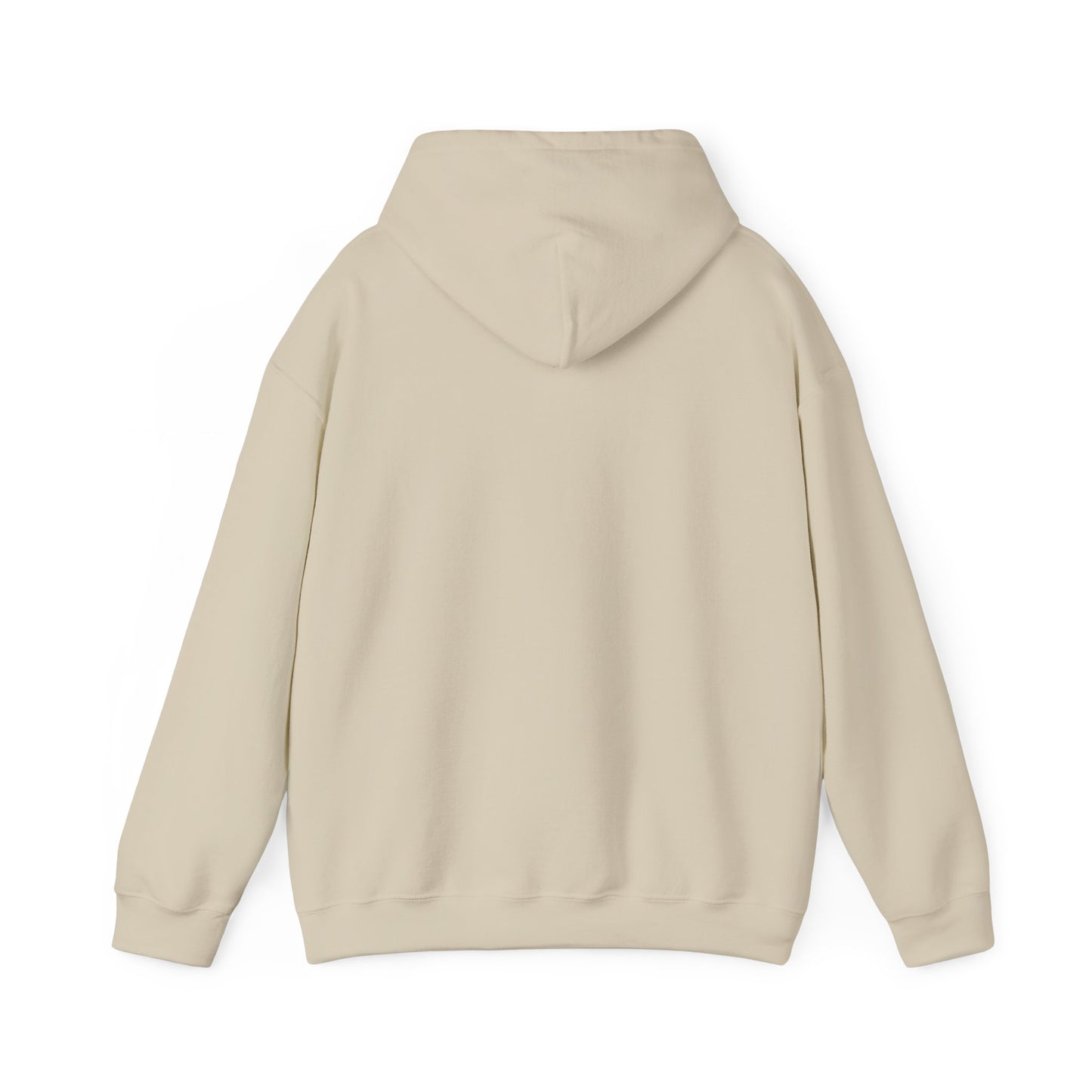 Walking by Faith Since Day One - Hoodie