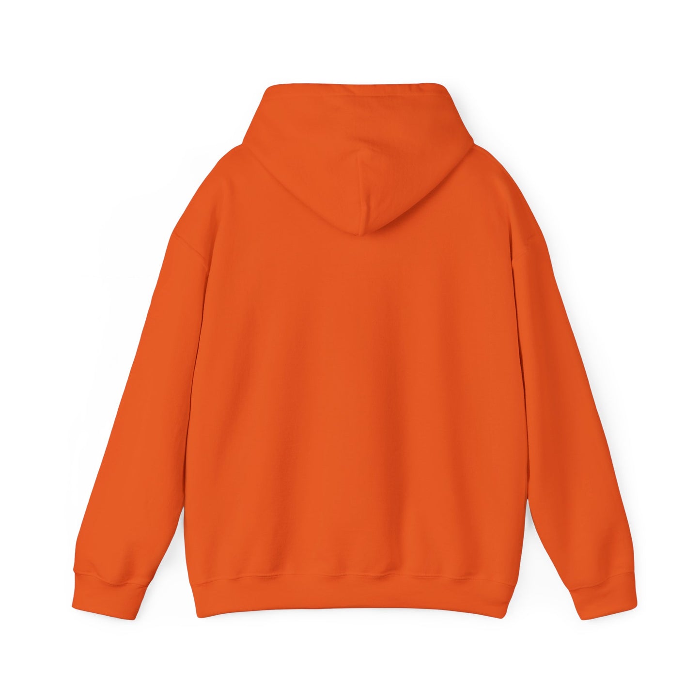 Walking by Faith Since Day One - Hoodie