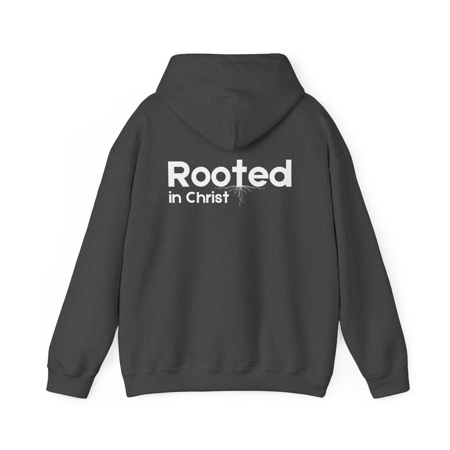 Rooted In Christ Hoodie — Christian Faith