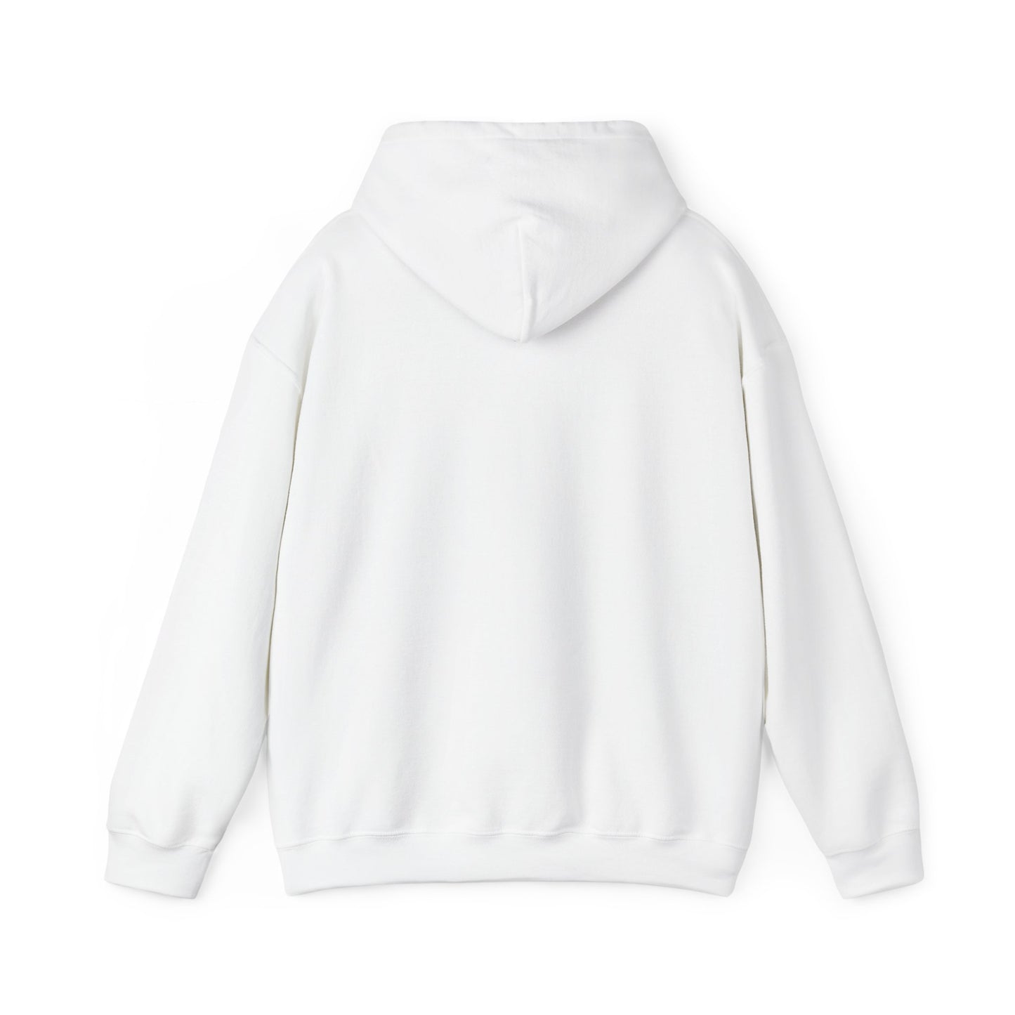 Walking by Faith Since Day One - Hoodie