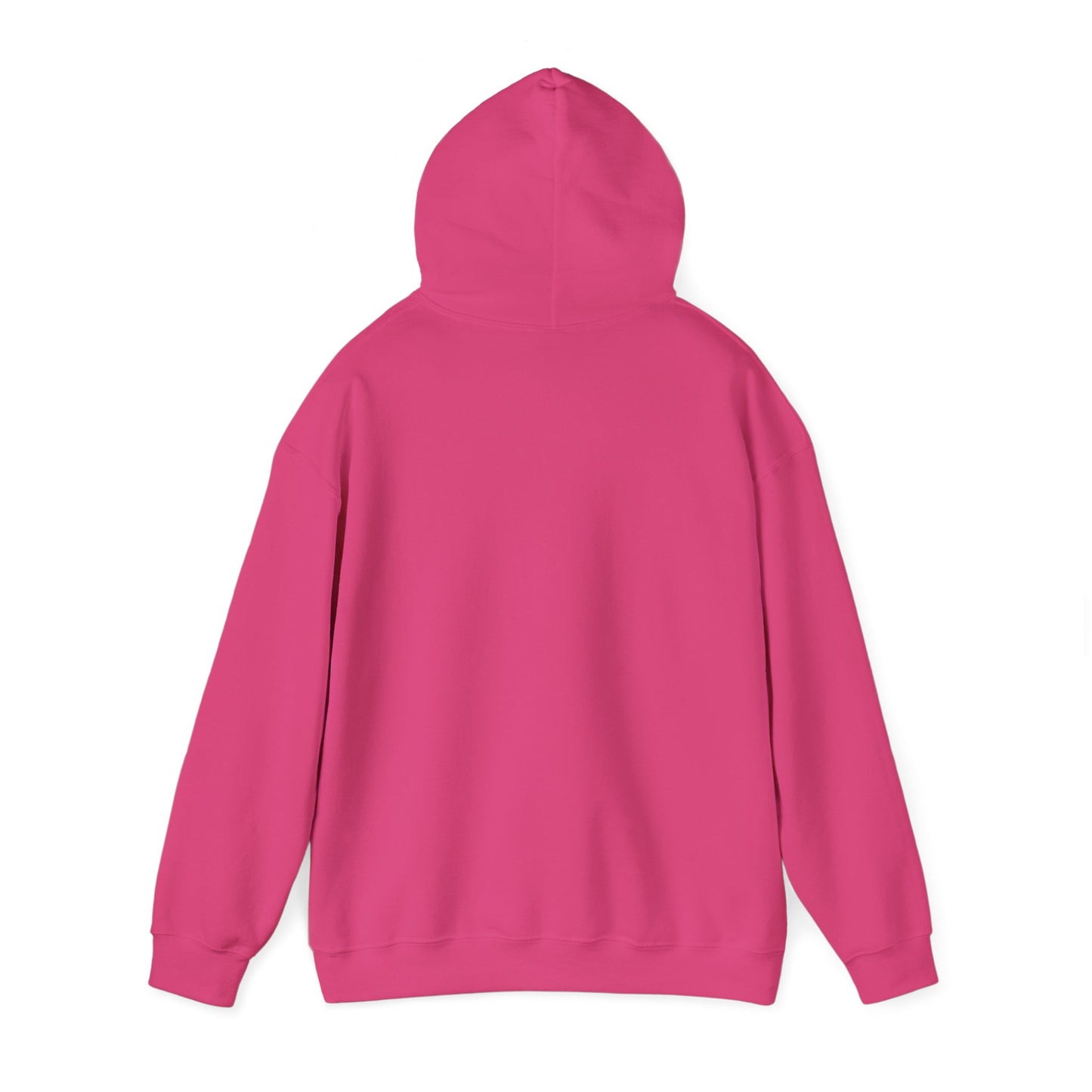 Walking by Faith Since Day One - Hoodie