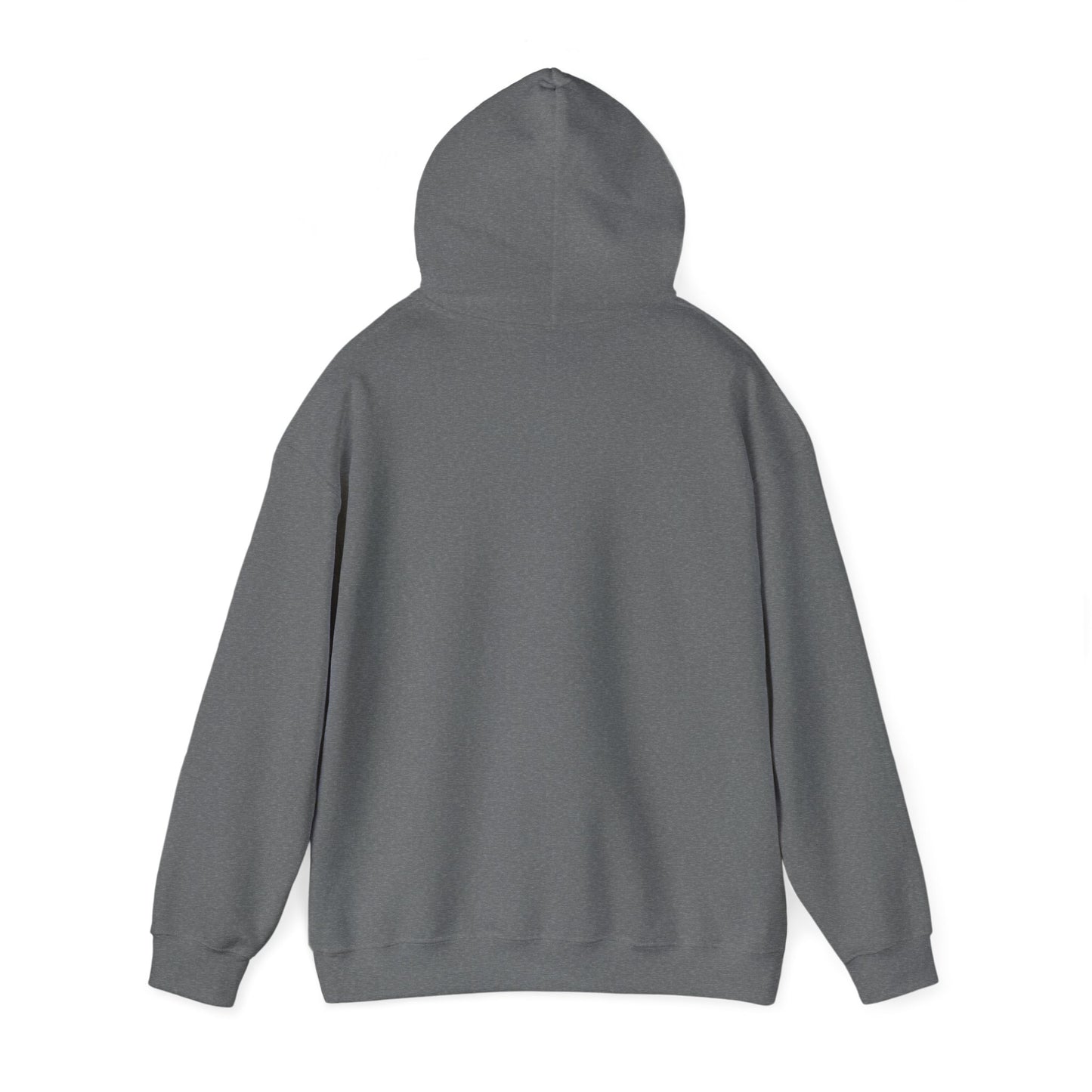 Walking by Faith Since Day One - Hoodie