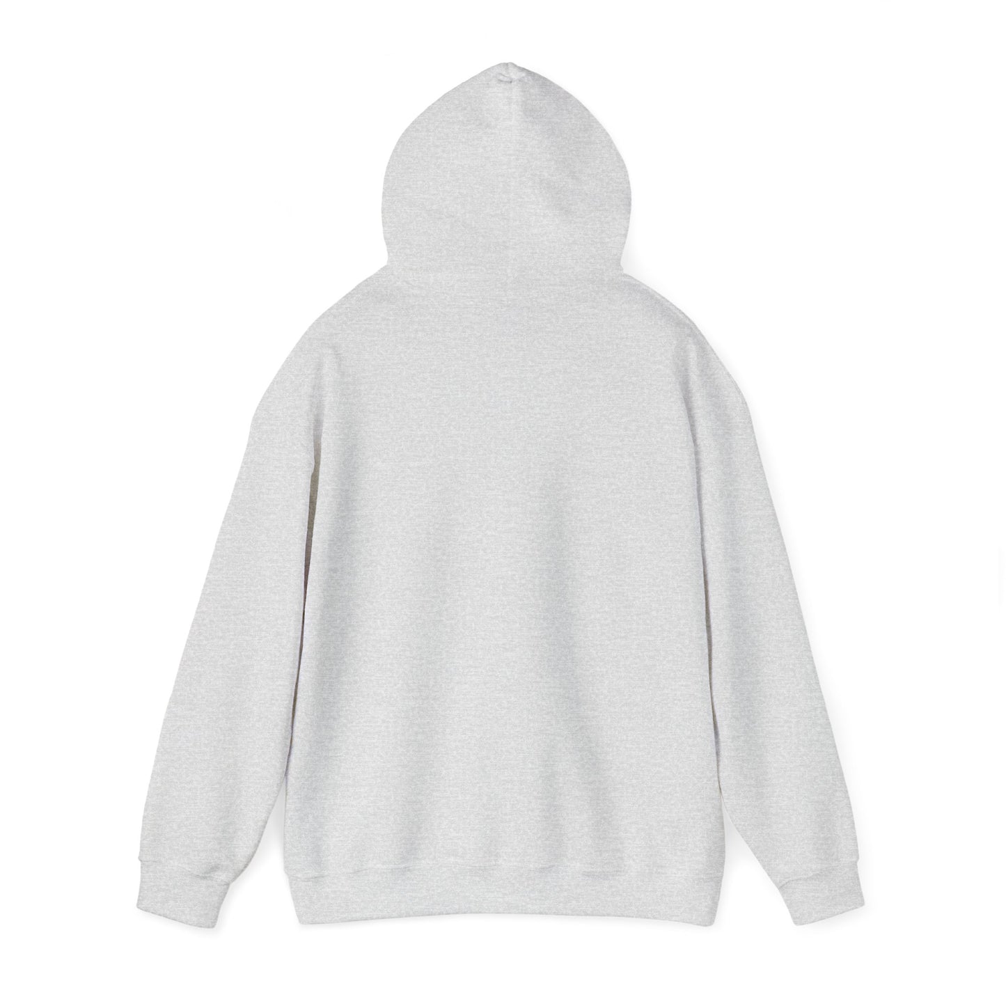 Walking by Faith Since Day One - Hoodie