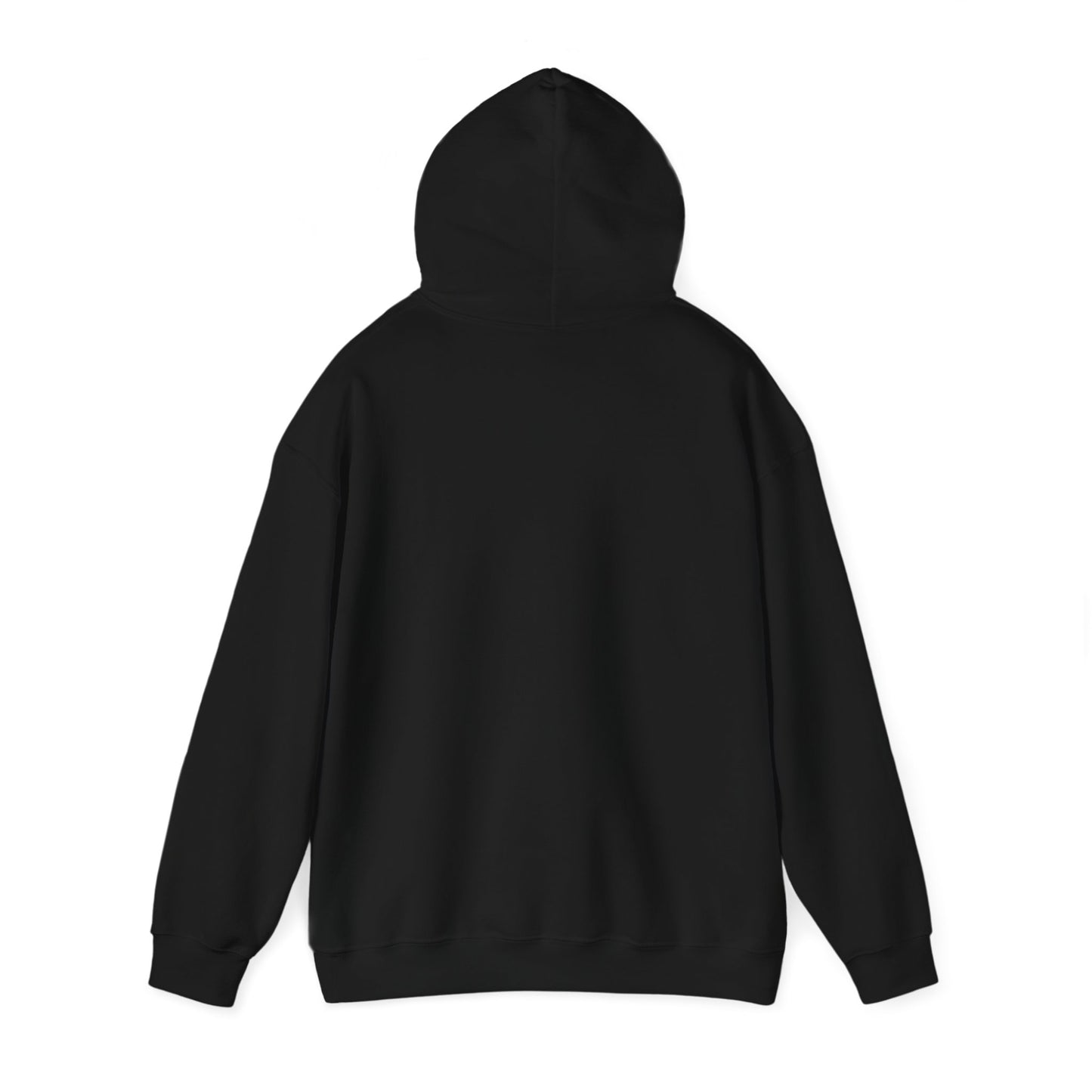 Walking by Faith Since Day One - Hoodie