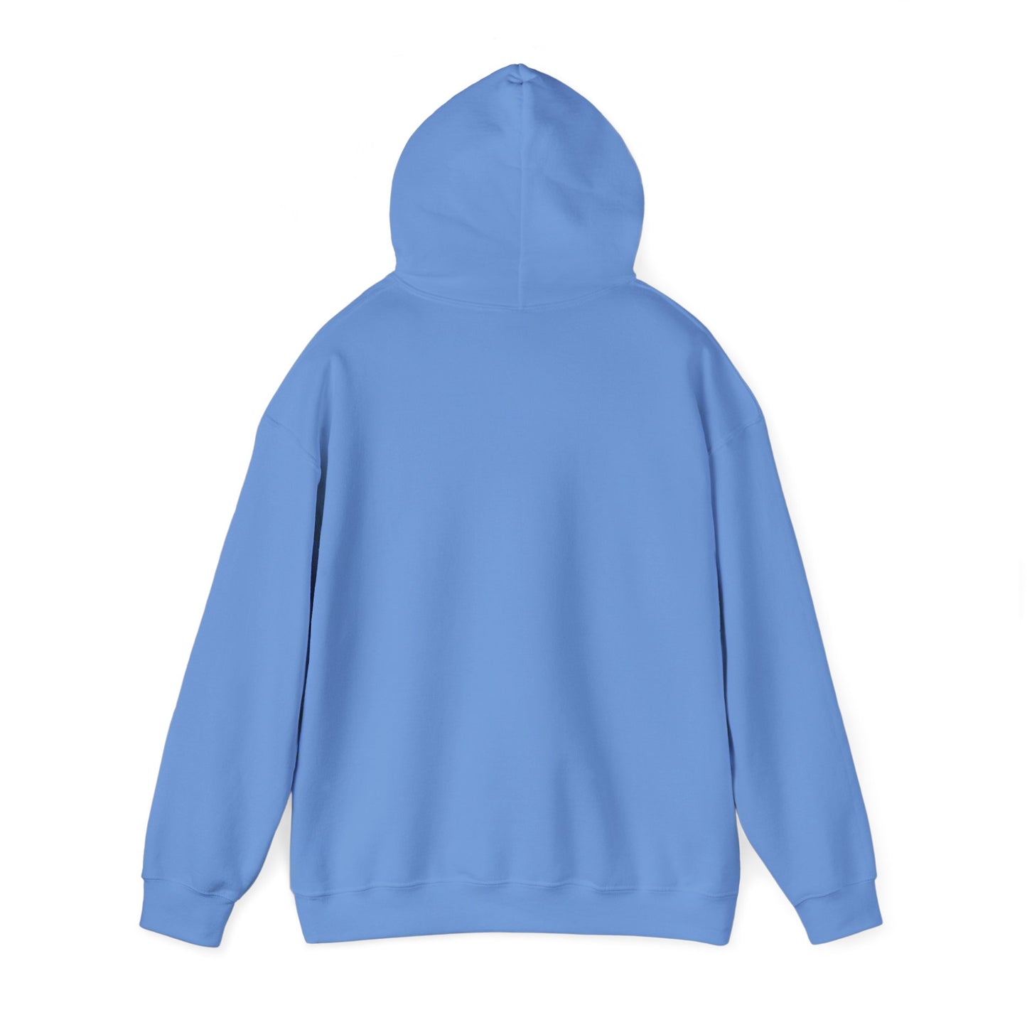 Walking by Faith Since Day One - Hoodie