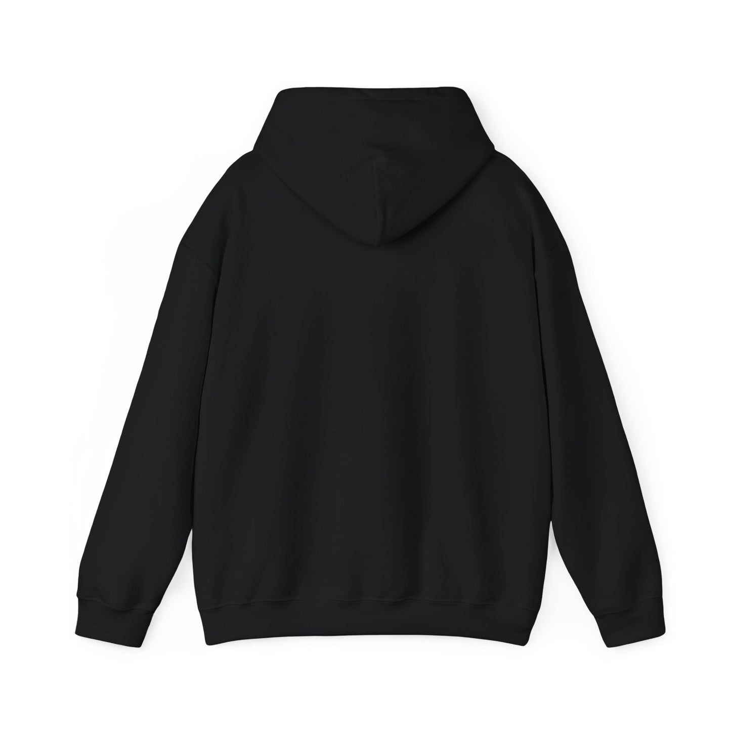 Walking by Faith Since Day One - Hoodie
