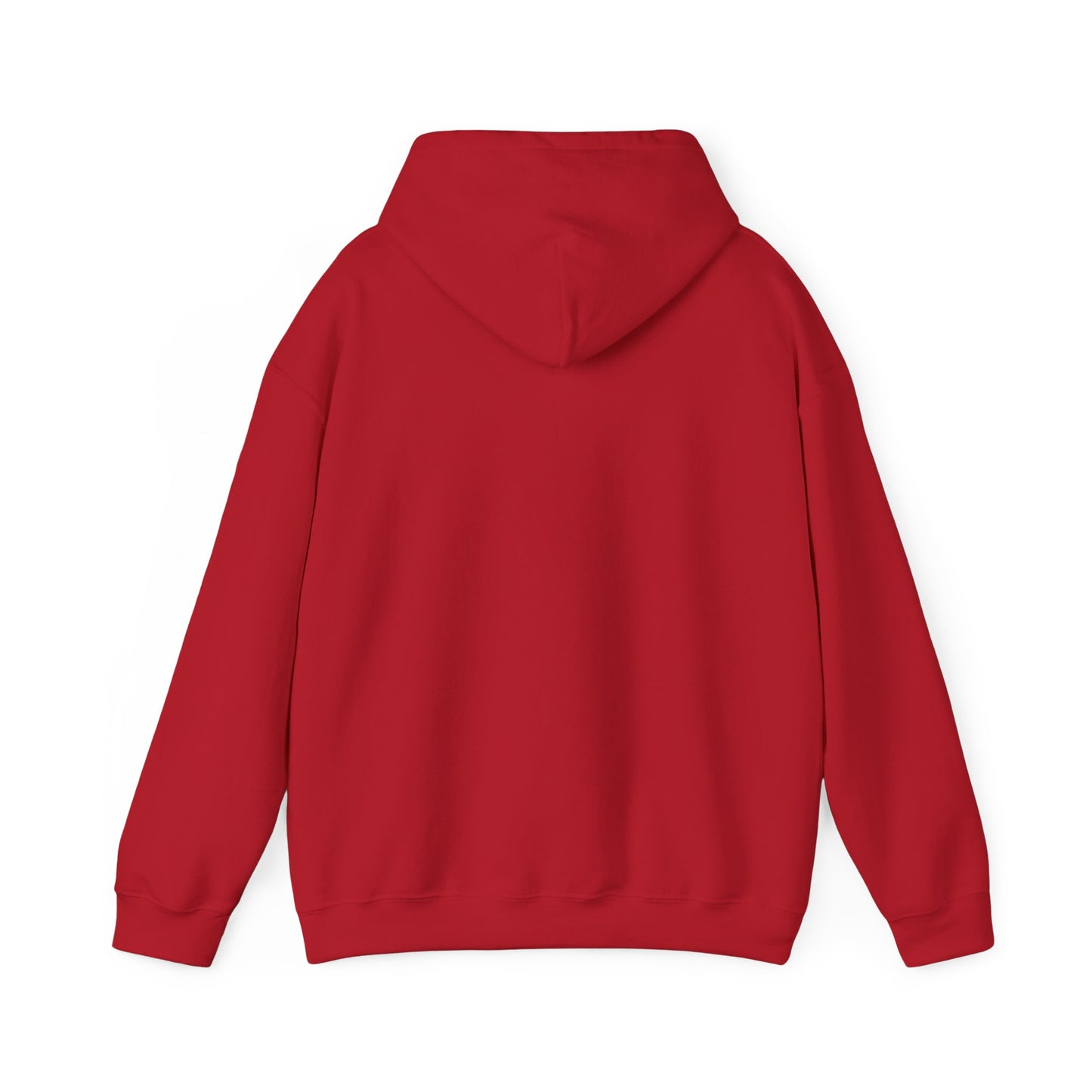 Walking by Faith Since Day One - Hoodie
