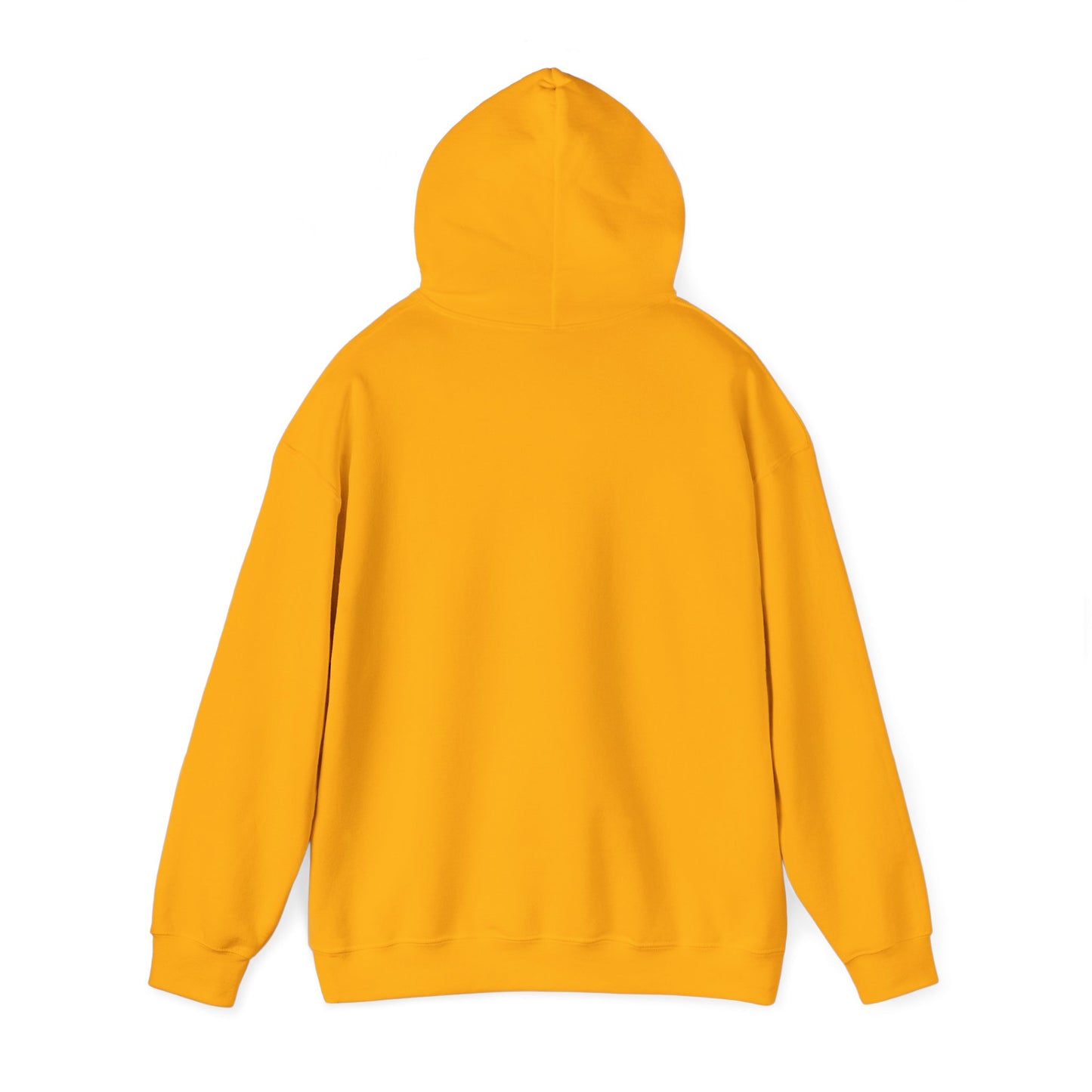 Walking by Faith Since Day One - Hoodie