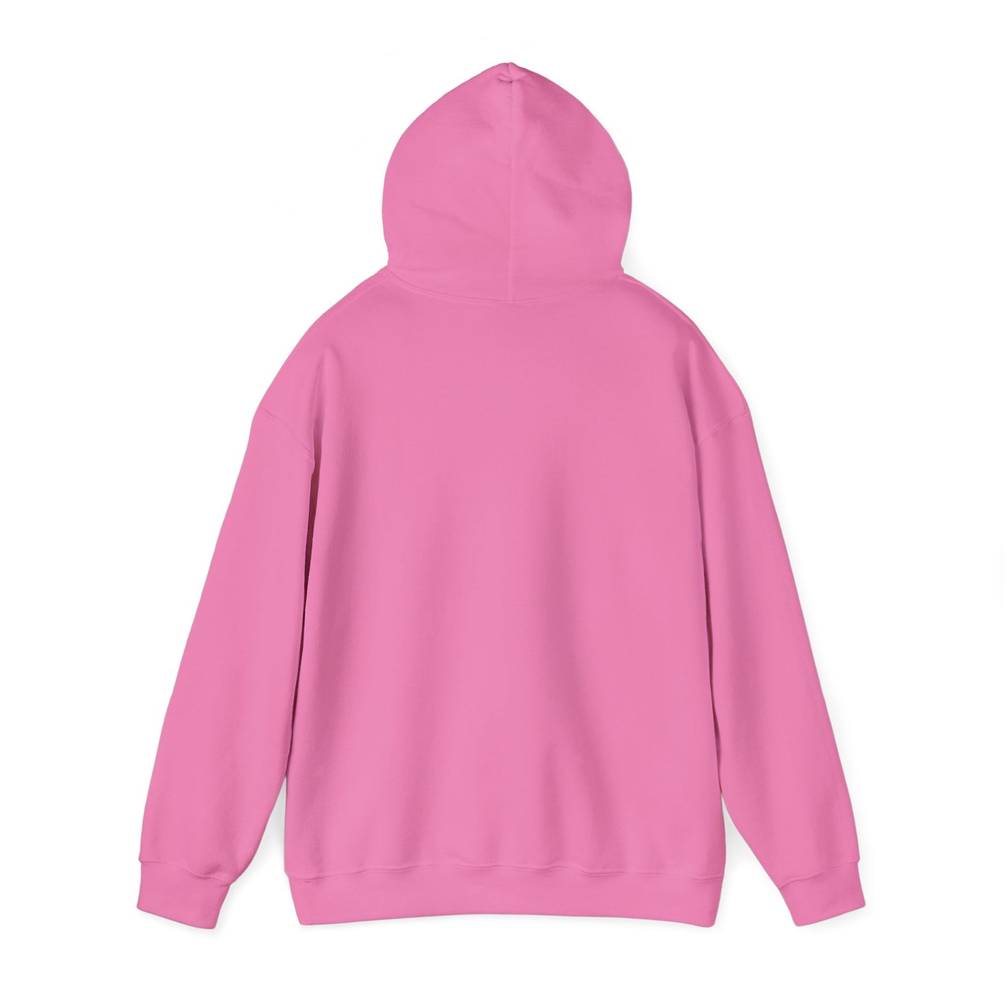 Walking by Faith Since Day One - Hoodie