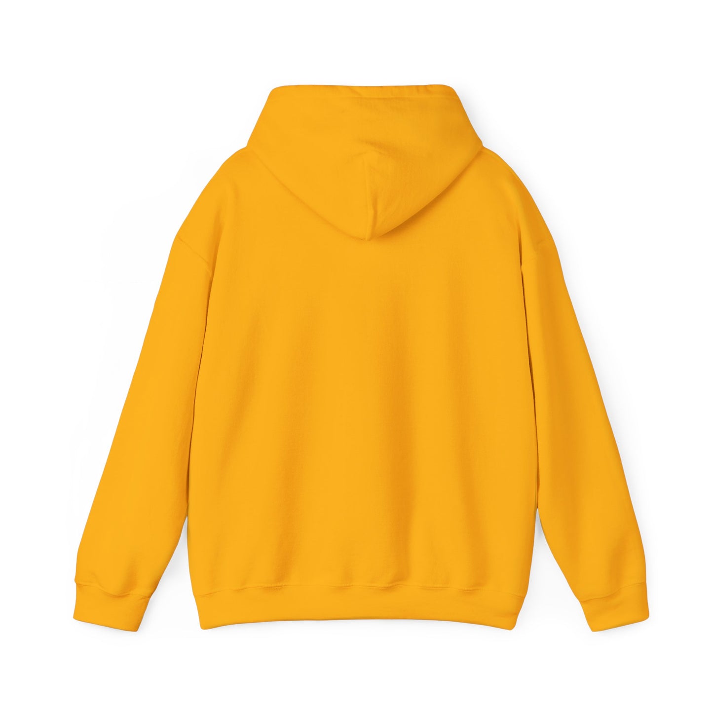 Walking by Faith Since Day One - Hoodie