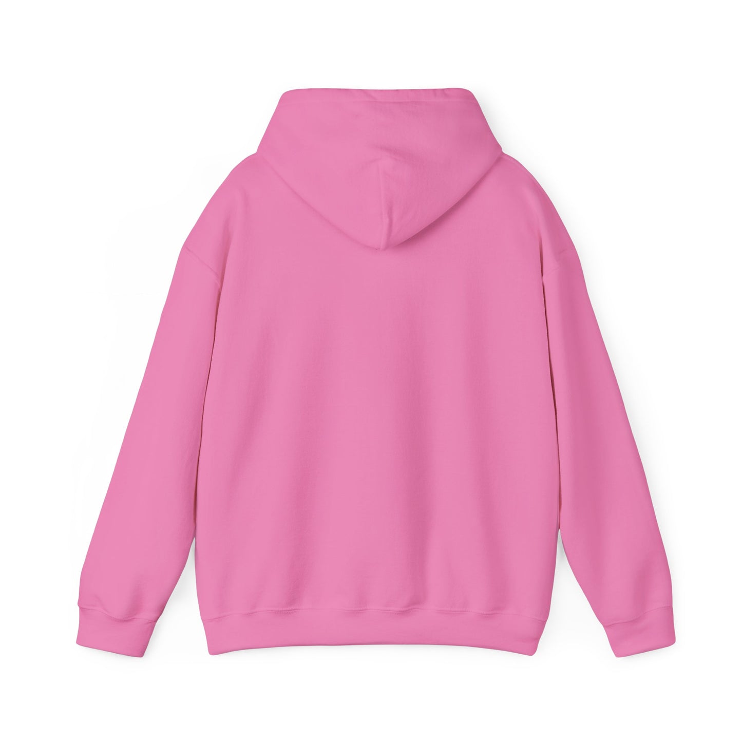 Walking by Faith Since Day One - Hoodie