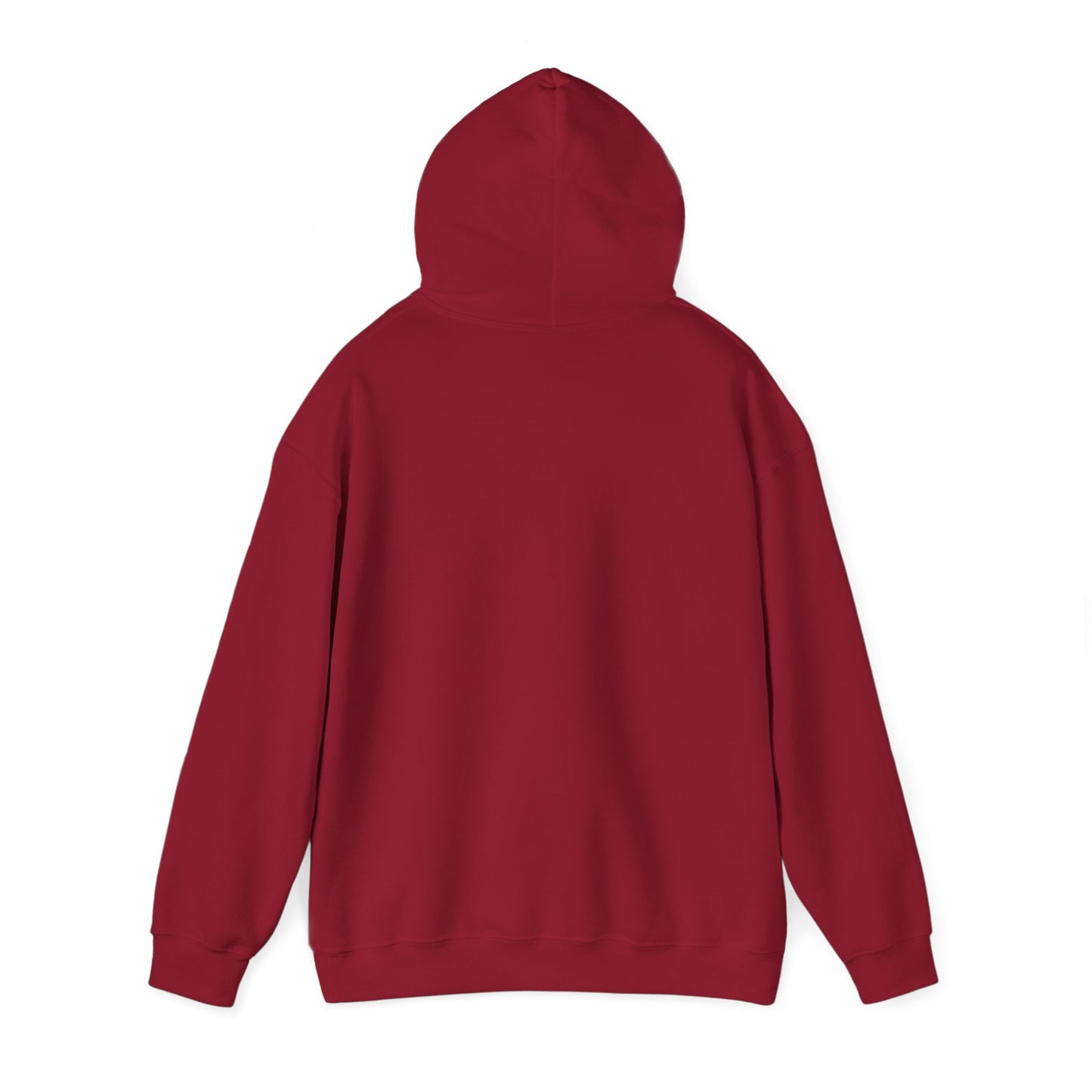 Walking by Faith Since Day One - Hoodie