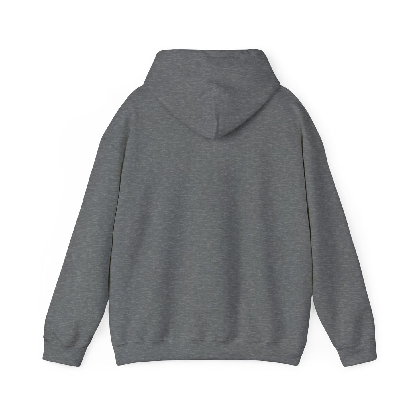 Walking by Faith Since Day One - Hoodie