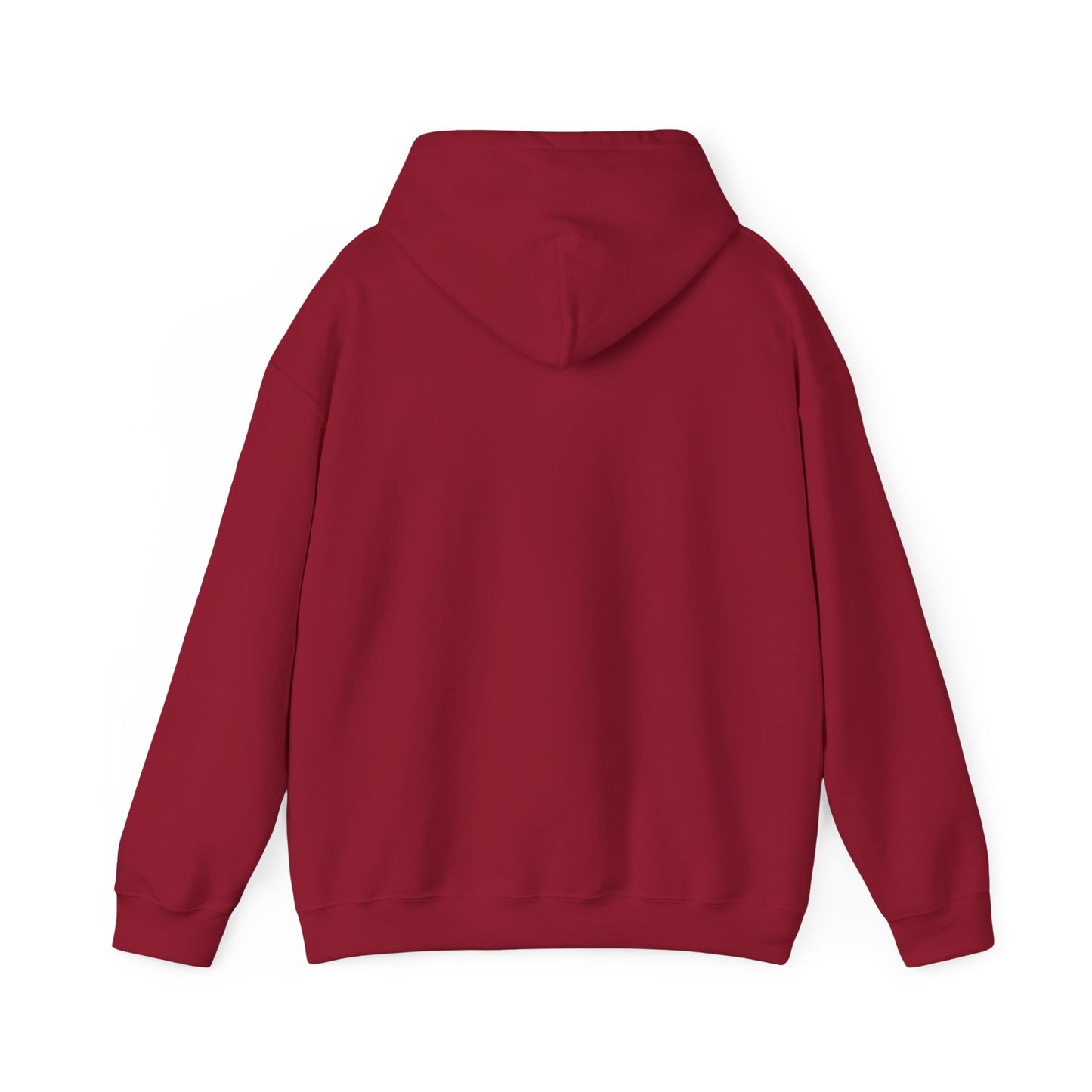 Walking by Faith Since Day One - Hoodie