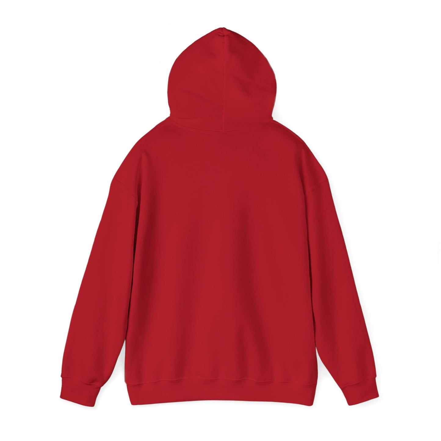 Walking by Faith Since Day One - Hoodie